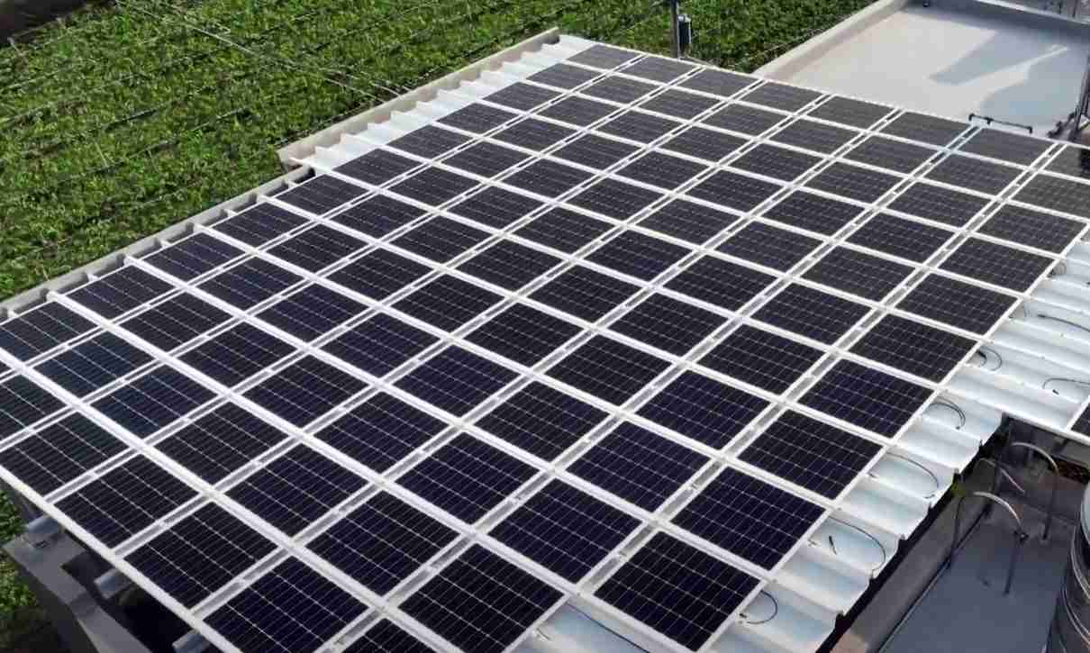 WepaySunSteel光电浪板升级双玻结构，，，以提升机械负载强度及气候耐候度，，可广泛运用于多元场域