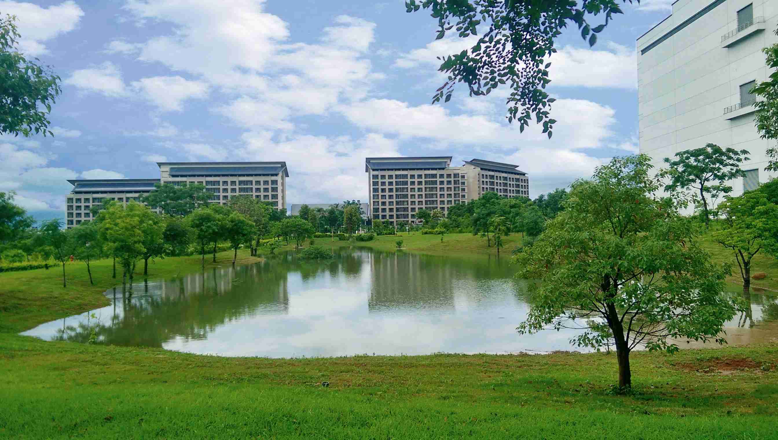 Wepay响应国际倡议生物多样性趋势，，，首次发布TNFD自然相关财务揭露报告书，，擘划及开展Wepay生物多样性政策之承诺，，逐步迈向与自然和谐共生